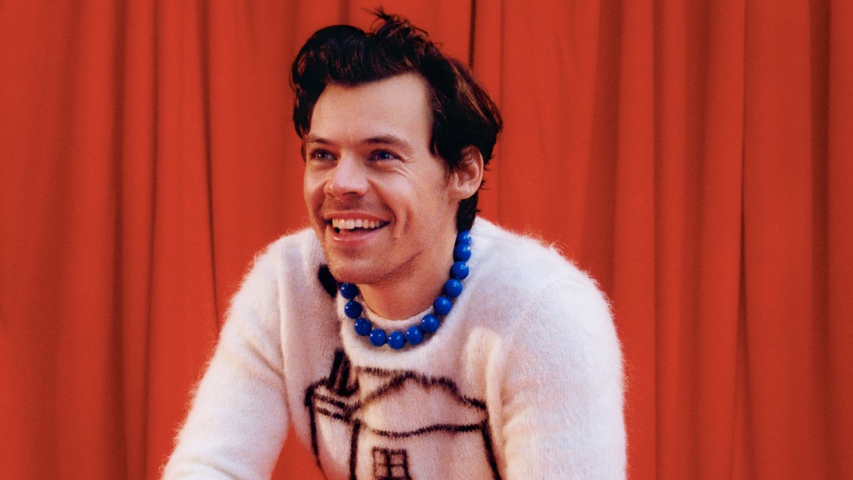 Harry Styles 2026: ¿Qué significa «We Belong Together» y su nueva web?