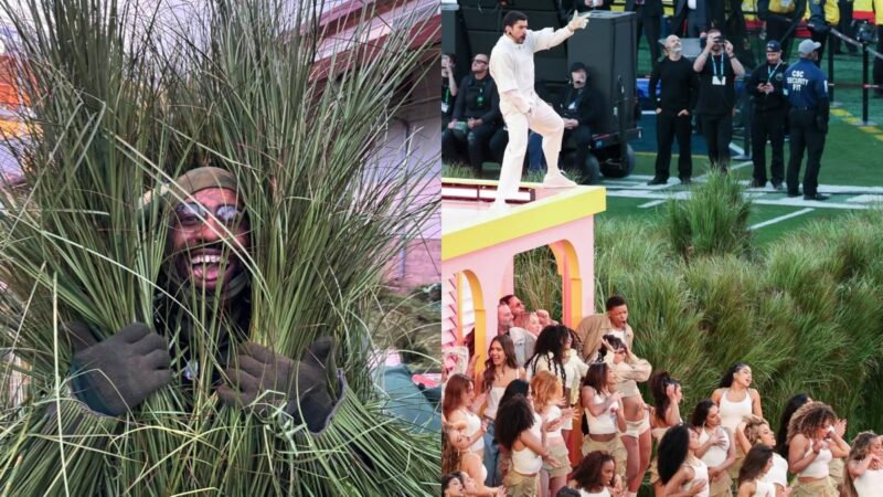 ¿Cuánto cobraron las «personas arbusto» del show del Super Bowl?